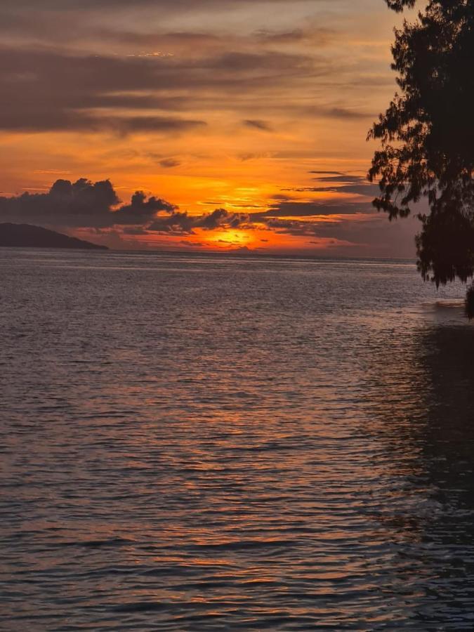 Wai Resort - Raja Ampat Pulau Birie Exteriör bild