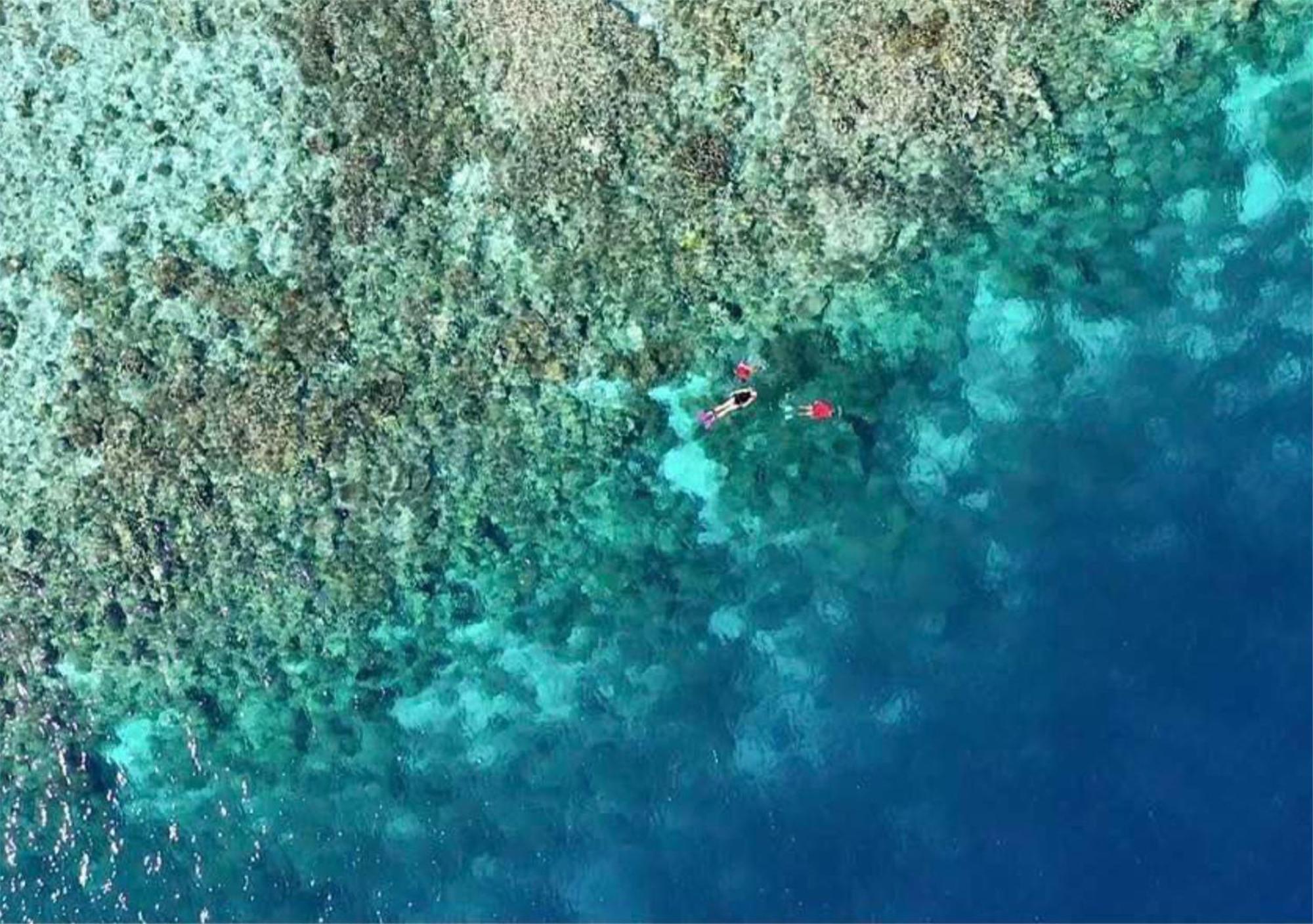 Wai Resort - Raja Ampat Pulau Birie Exteriör bild