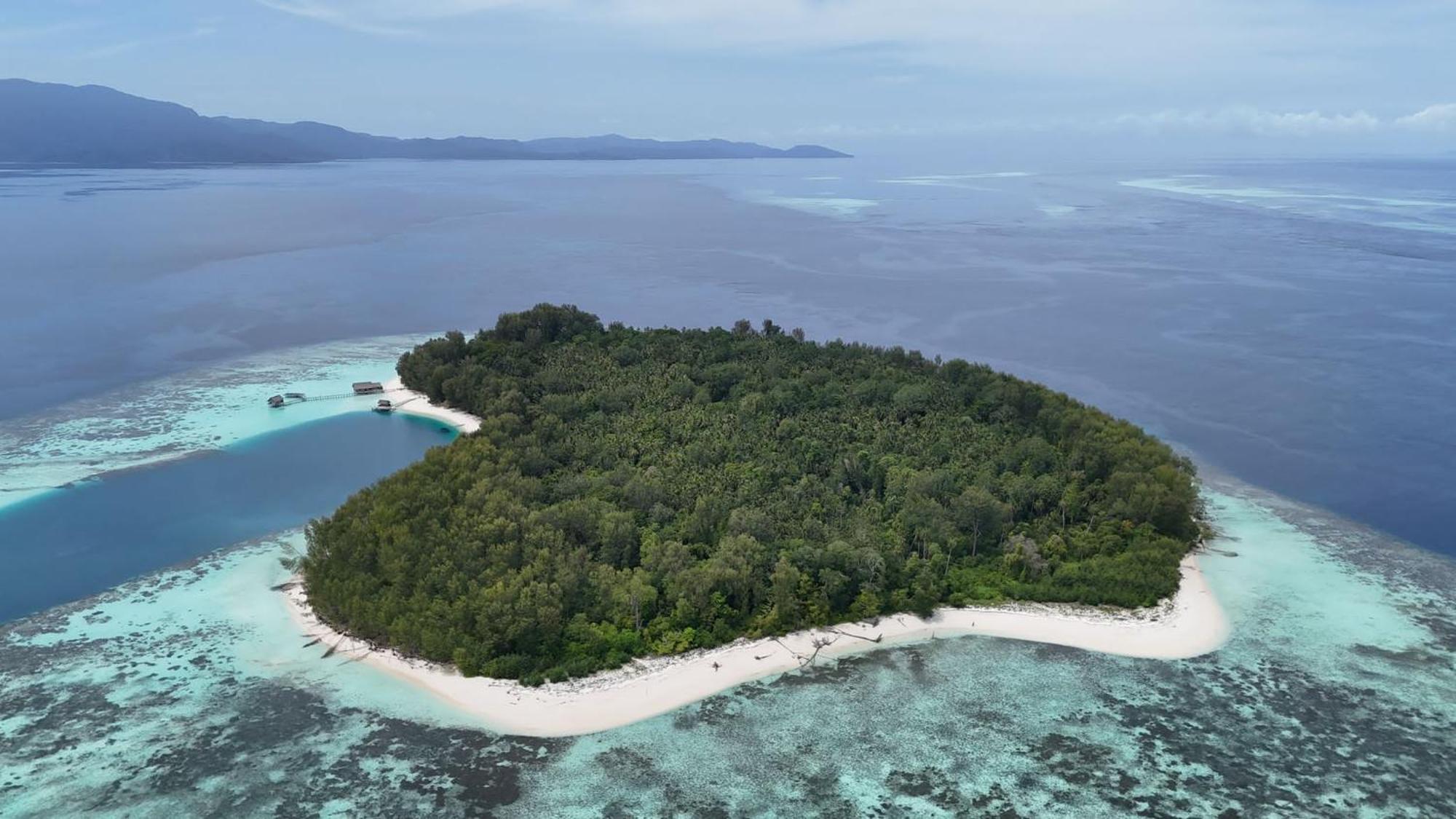 Wai Resort - Raja Ampat Pulau Birie Exteriör bild