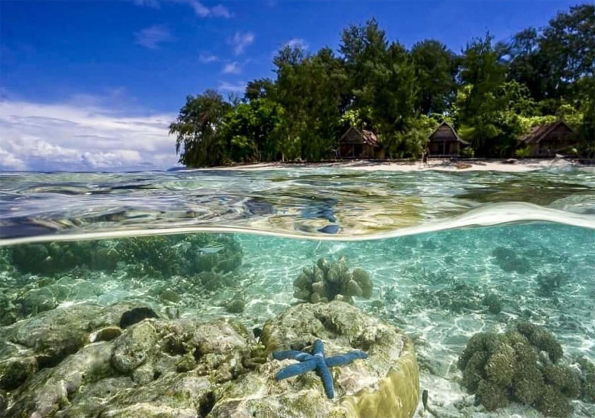 Wai Resort - Raja Ampat Pulau Birie Exteriör bild