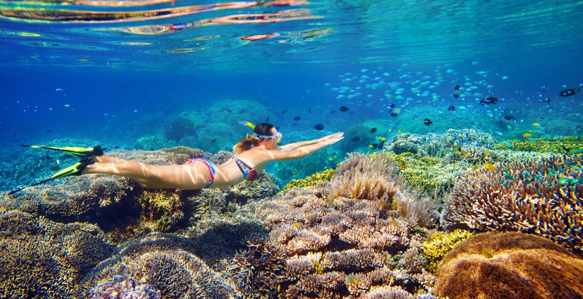 Wai Resort - Raja Ampat Pulau Birie Exteriör bild